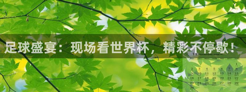 jrkan直播篮球体育网：足球盛宴：现场看世界杯，精彩不停歇！