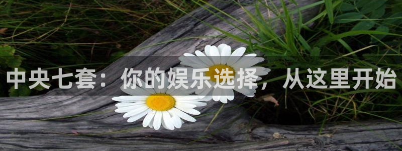 jr看球直播网：中央七套：你的娱乐选择，从这里开始