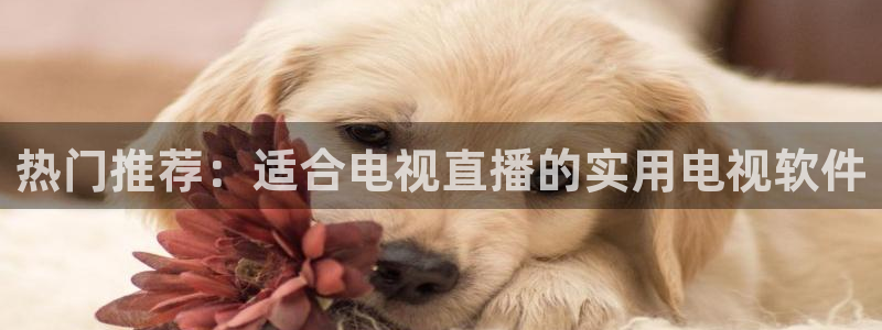 jrkan体育直播：热门推荐：适合电视直播的实用电视软件