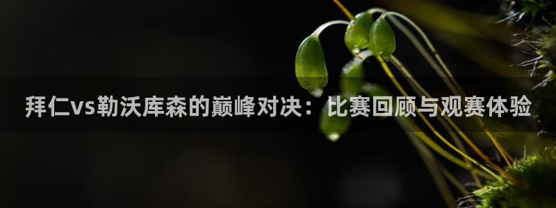 jr看直播nba：拜仁vs勒沃库森的巅峰对决：比赛回顾与观赛体验