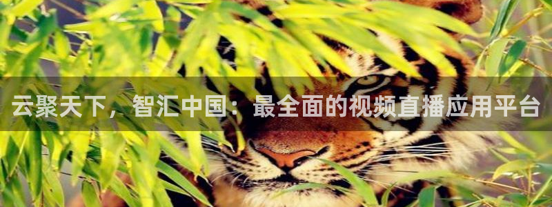 jrkan体育直播网：云聚天下，智汇中国：最全面的视频直播应用平台