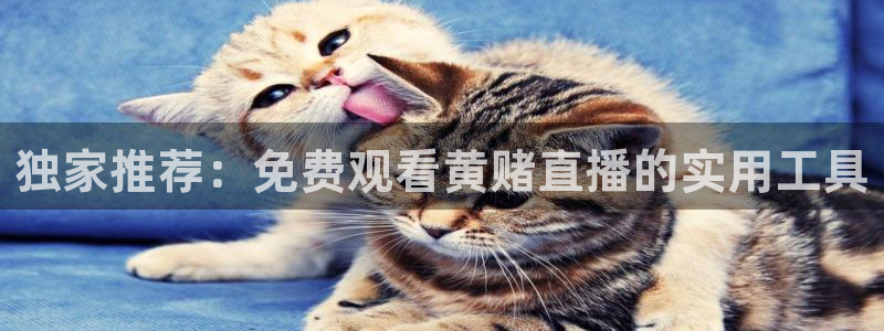 jrkan直播篮球体育网：独家推荐：免费观看黄赌直播的实用工具