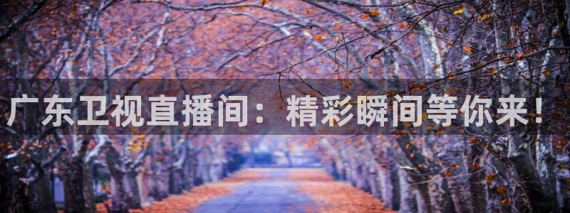 jrkan2023直播体育网：广东卫视直播间：精彩瞬间等你来！