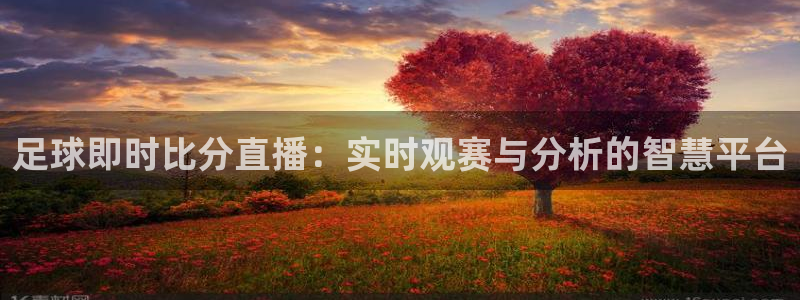jr看球直播网：足球即时比分直播：实时观赛与分析的智慧平台